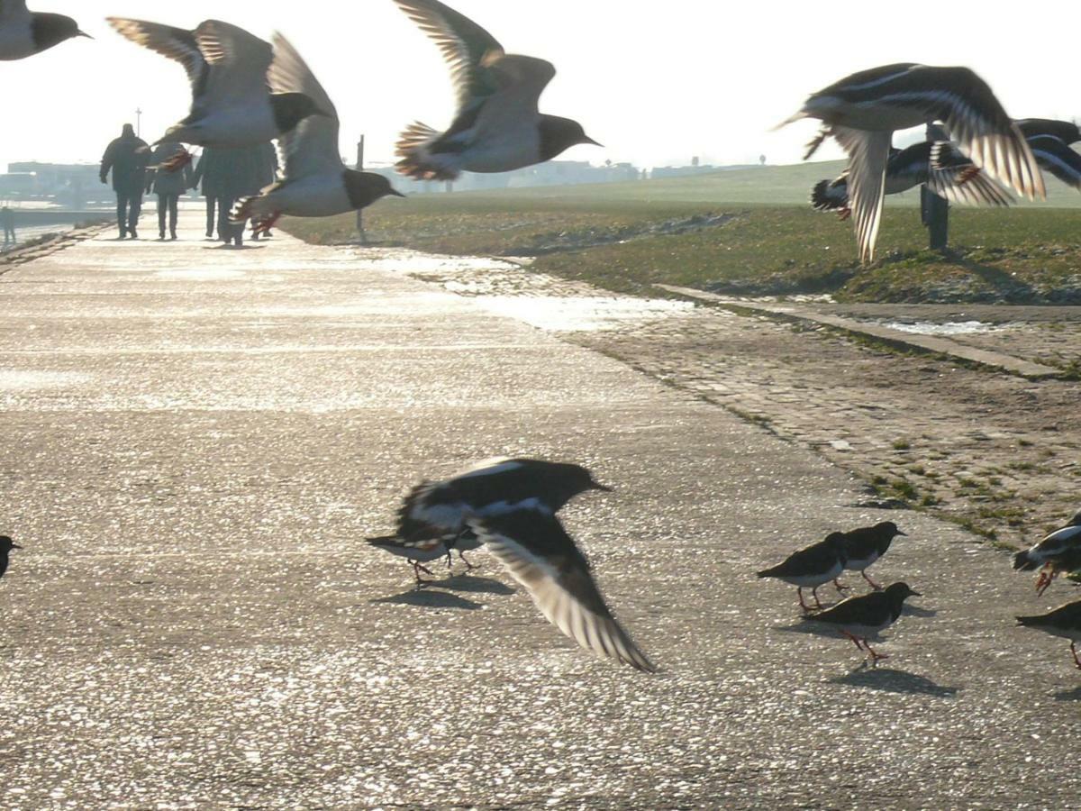 Ferienwohnung Osterdeich Horumersiel Esterno foto